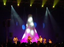 Soul-fingers-Viba-07-01